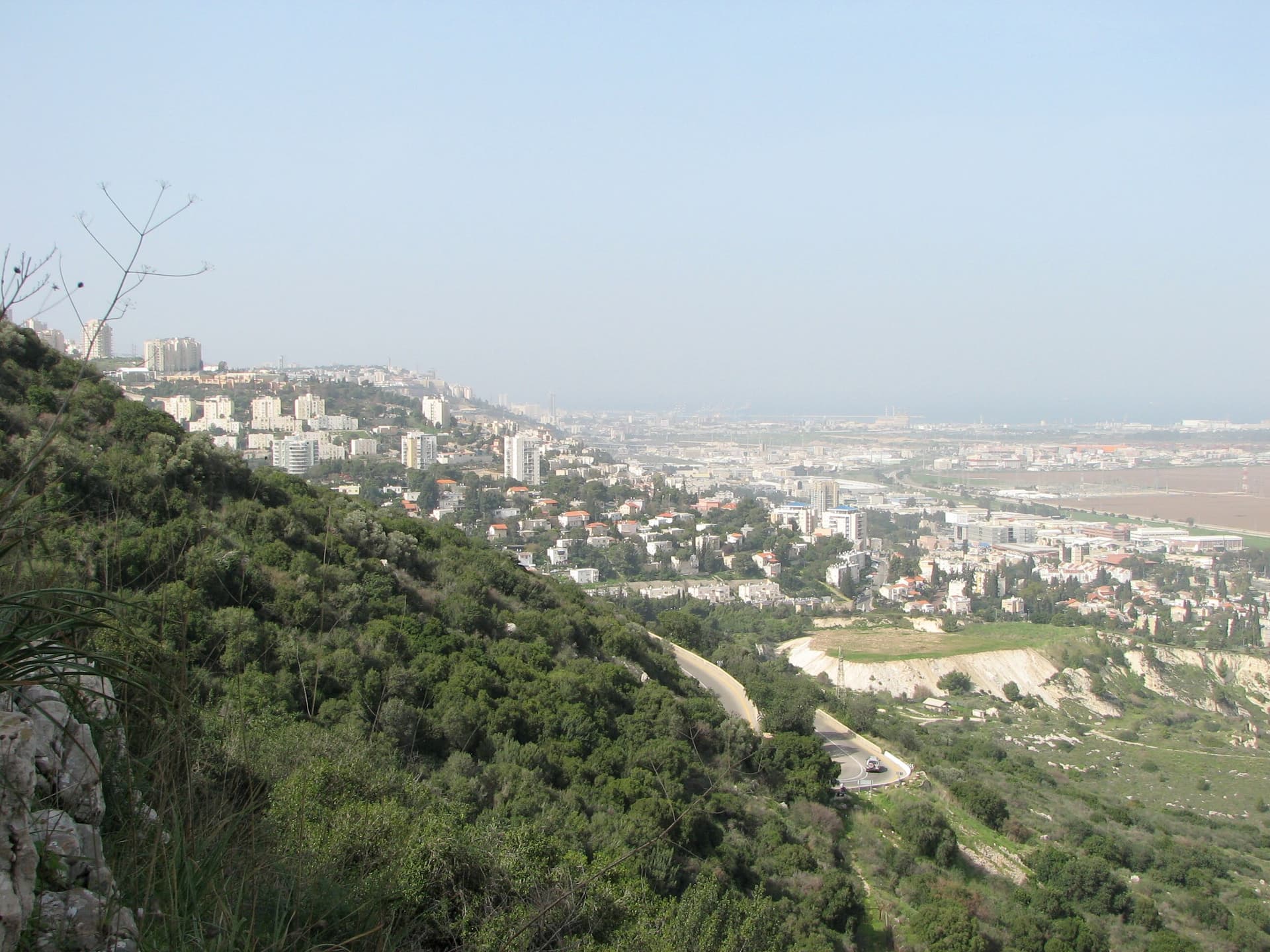 תמונה של אזור נשר